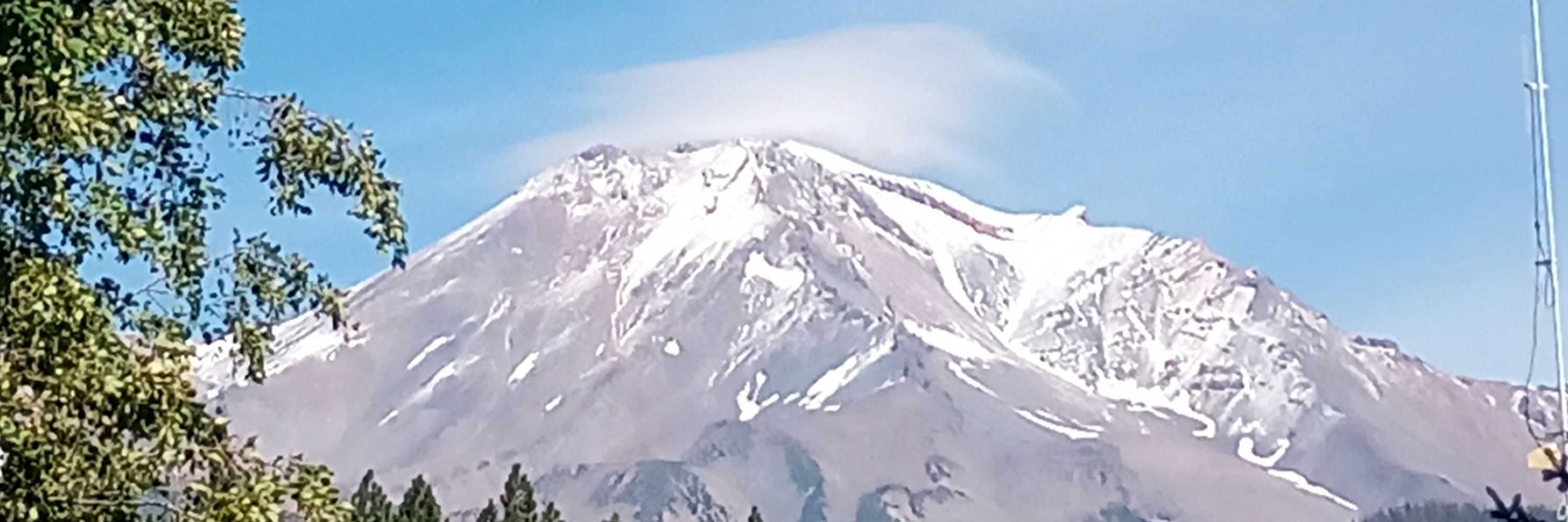 Shasta Drew