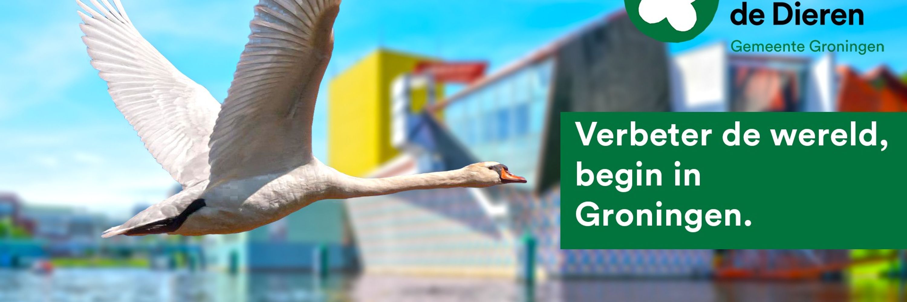Partij voor de Dieren gemeente Groningen