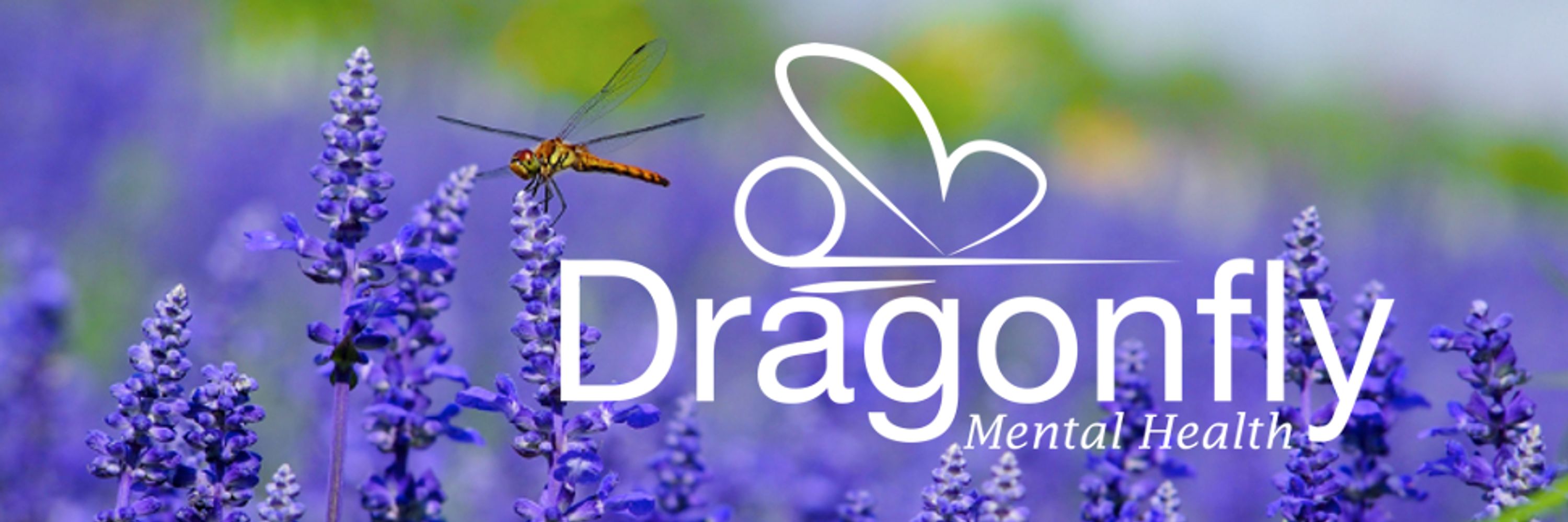Dragonfly Mental Health