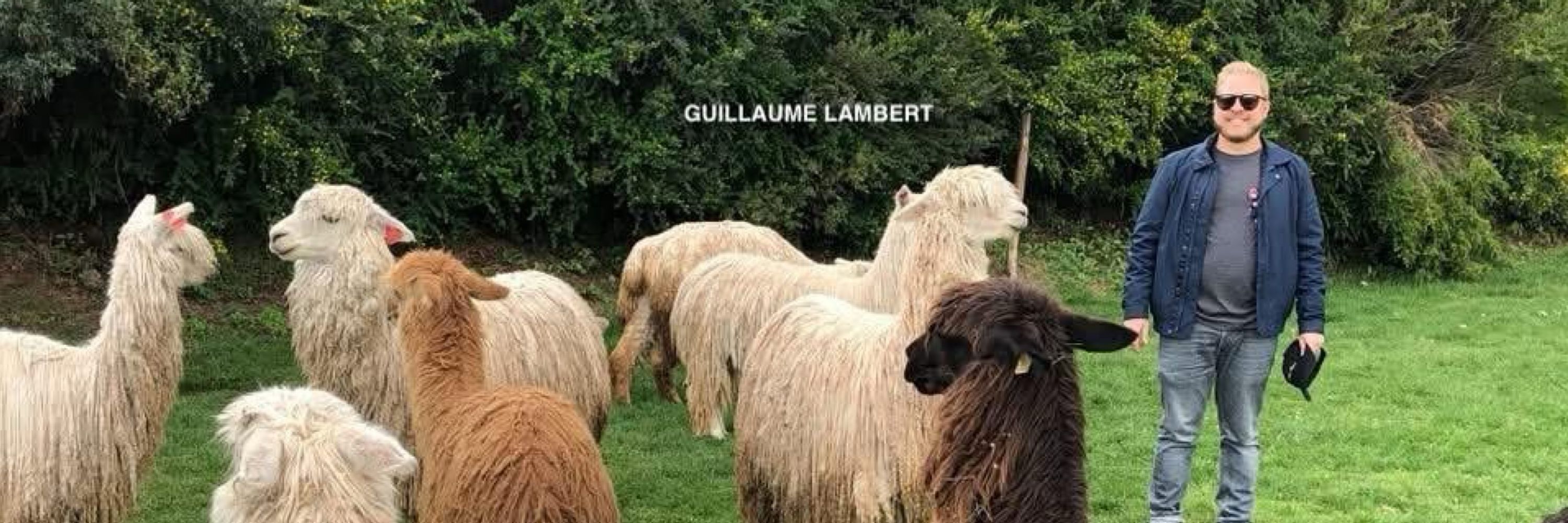 Guillaume Lambert