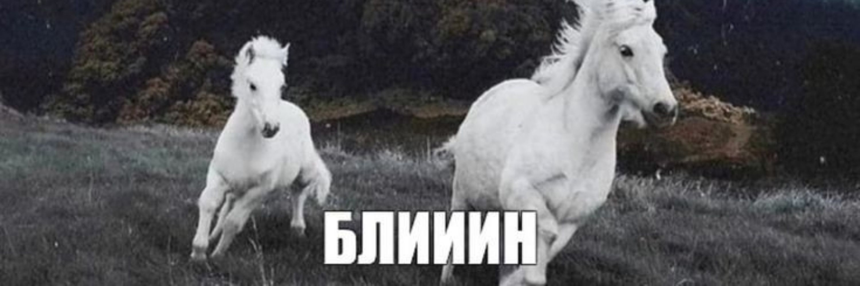 лин👻