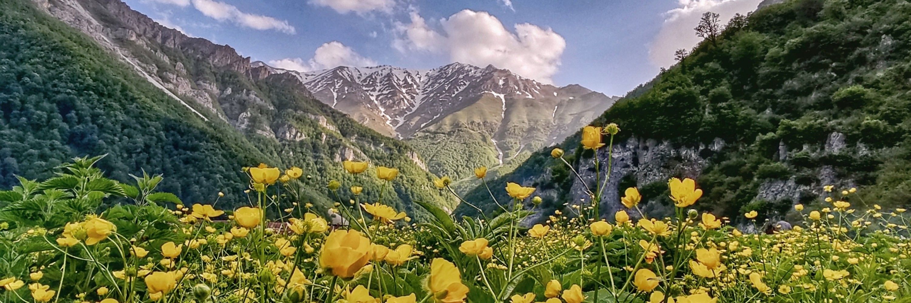 کمرنگ