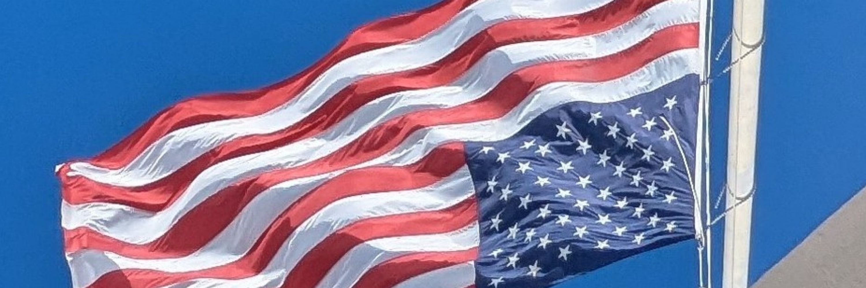 🇺🇸 Pithy Packy 🇳🇱