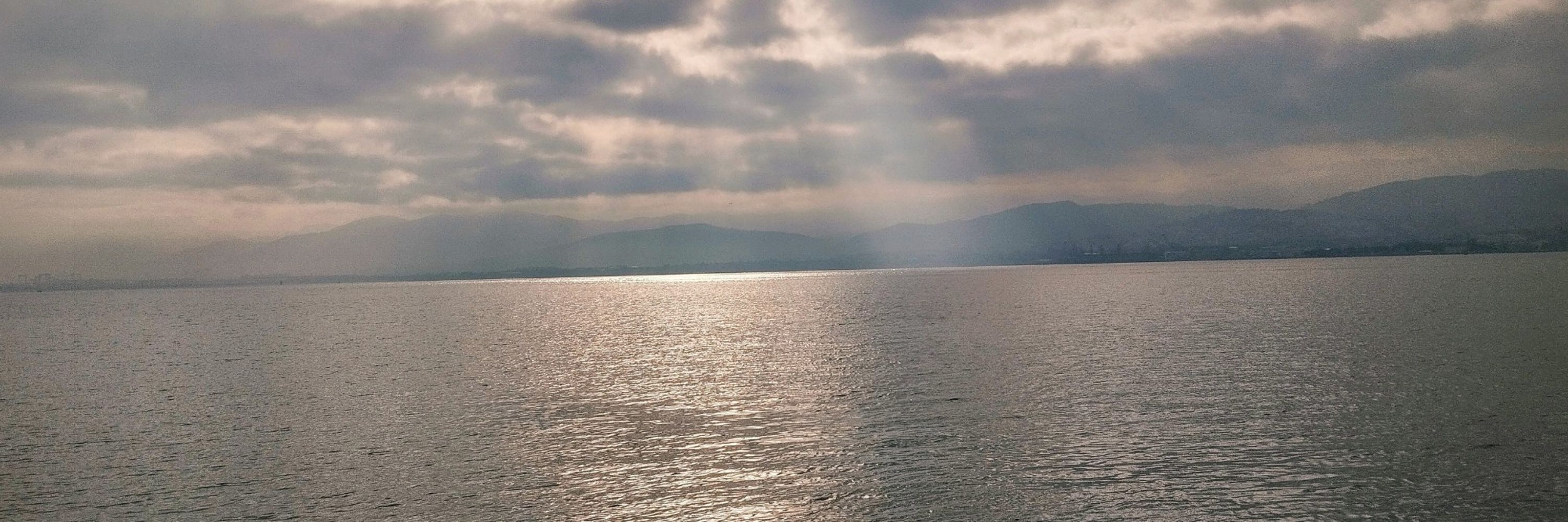 Gülçin Akça