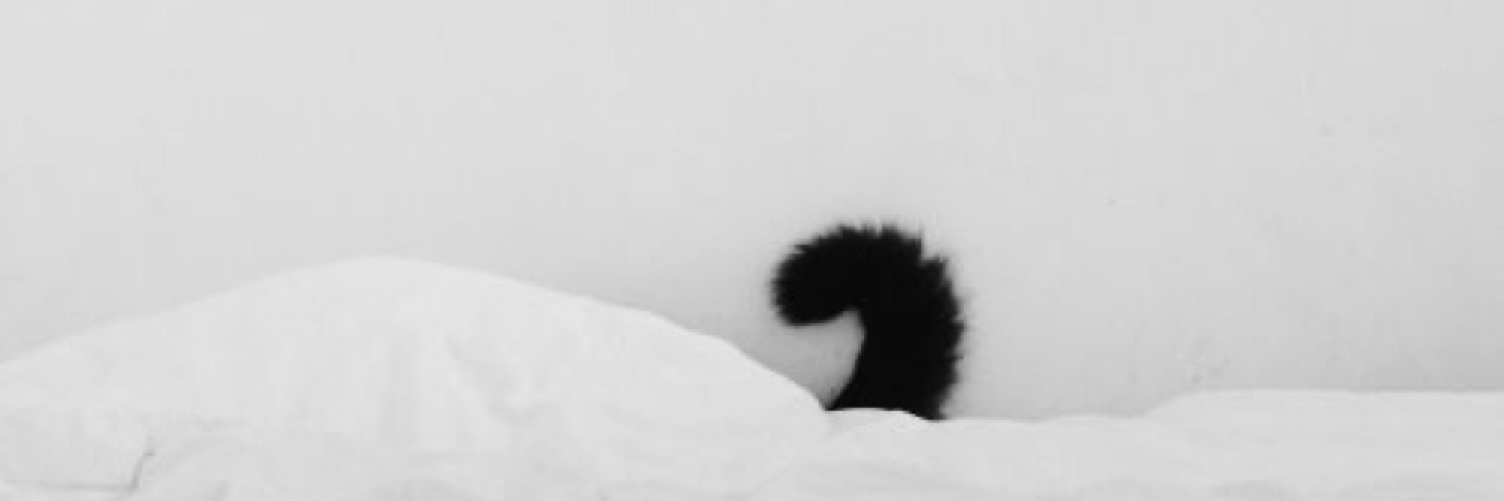 ✮