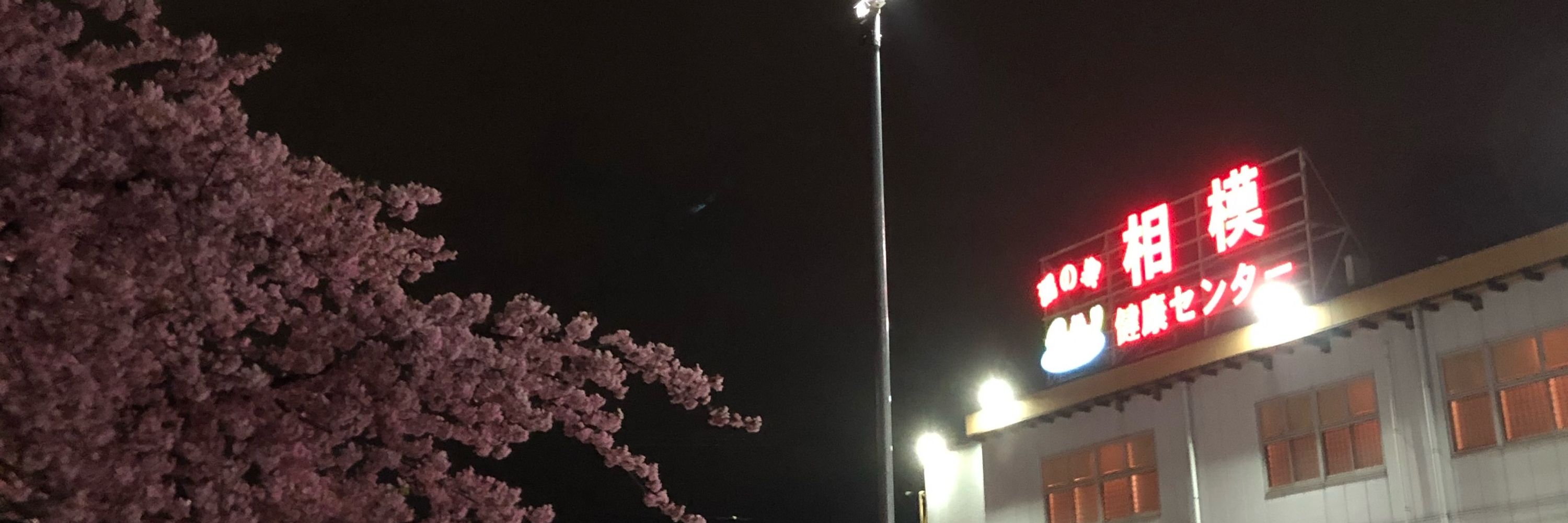 くまさく