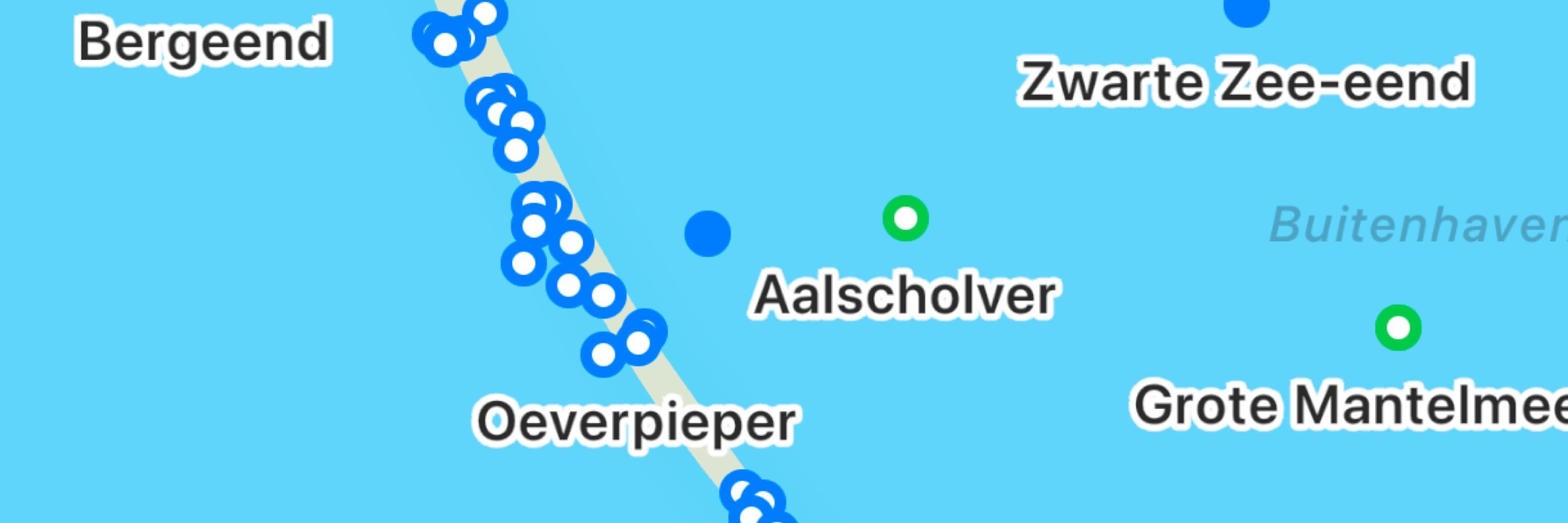 Ravens - waarnemingen