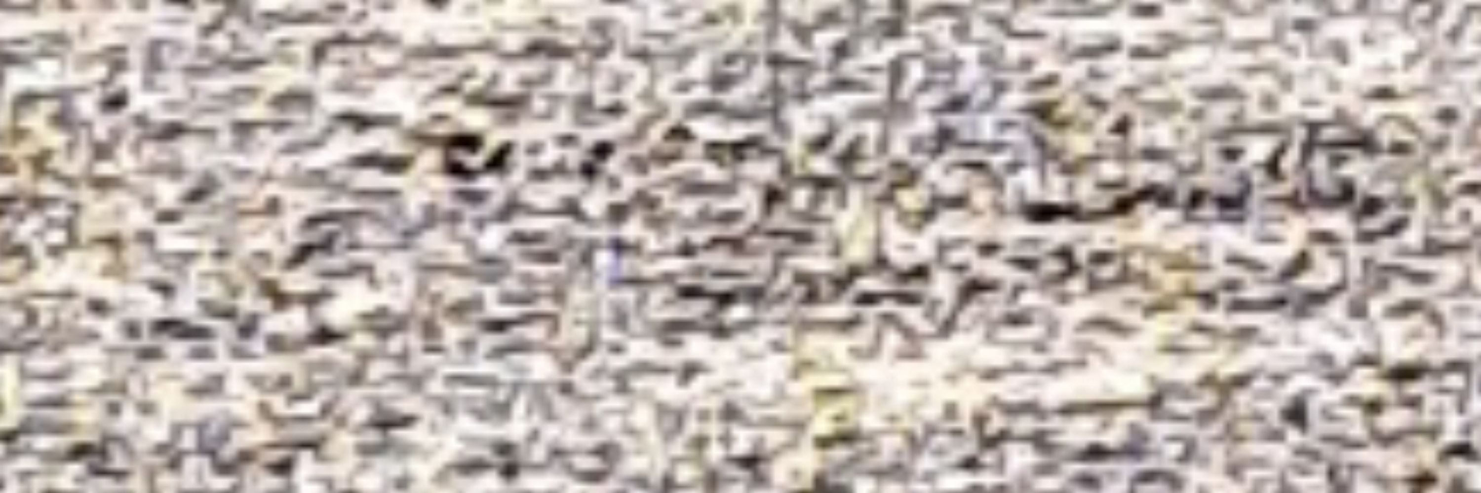 Fxn
