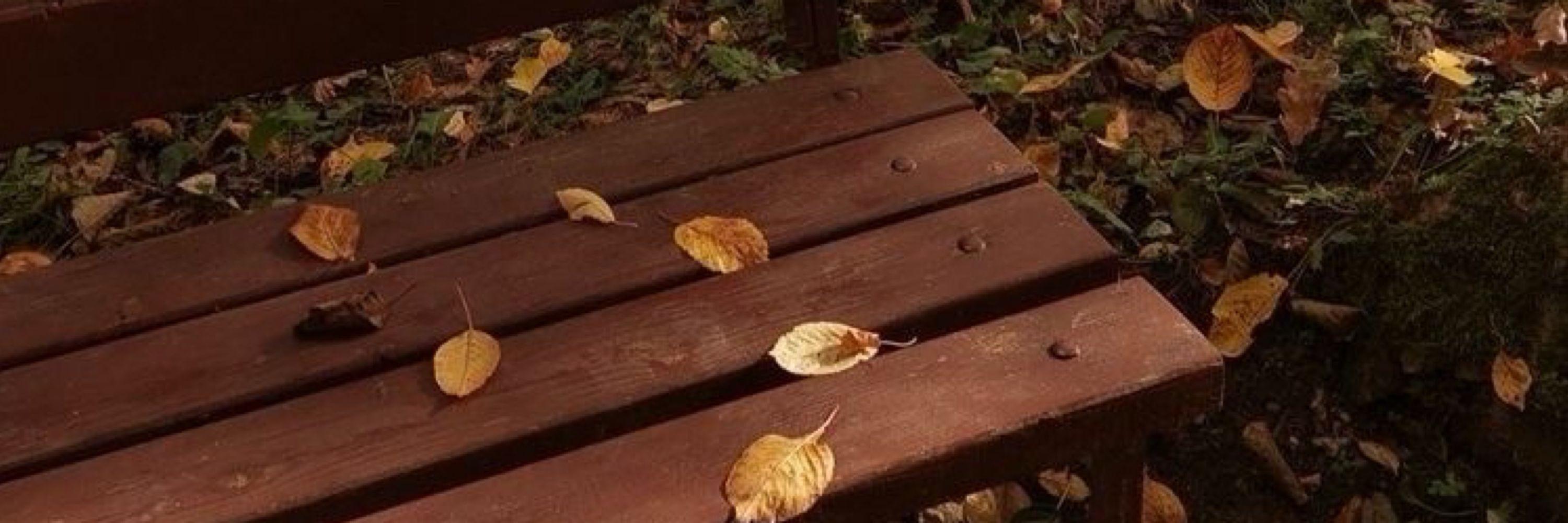 autuming. 🍂