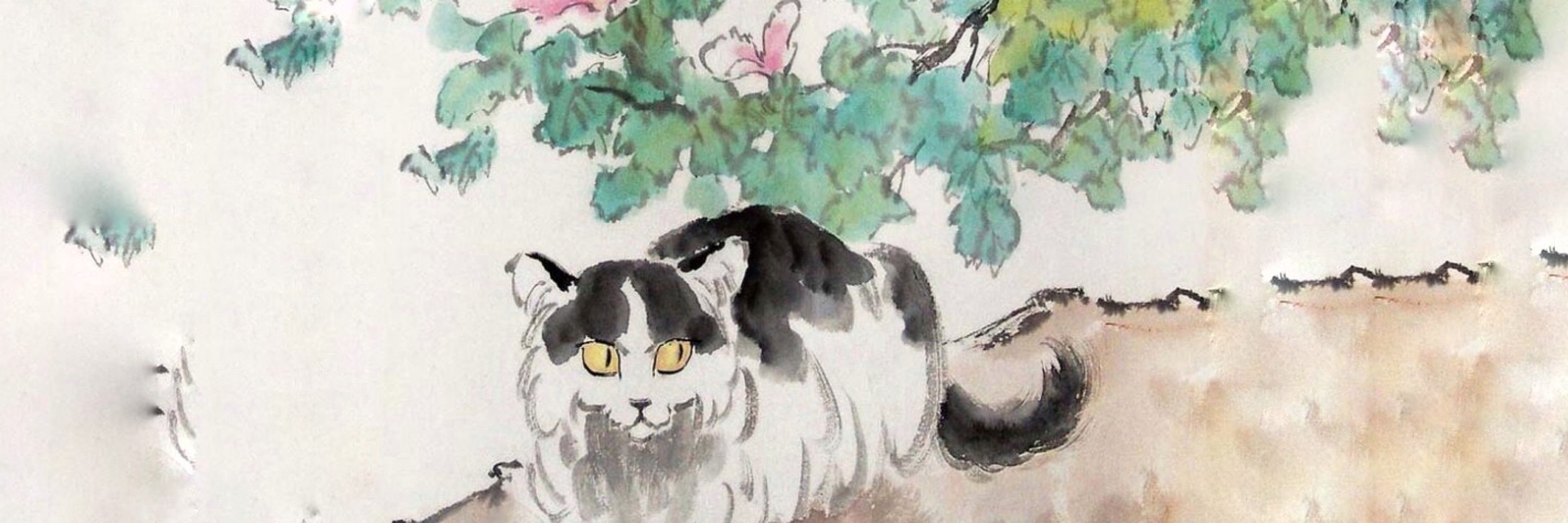 Liz Chin