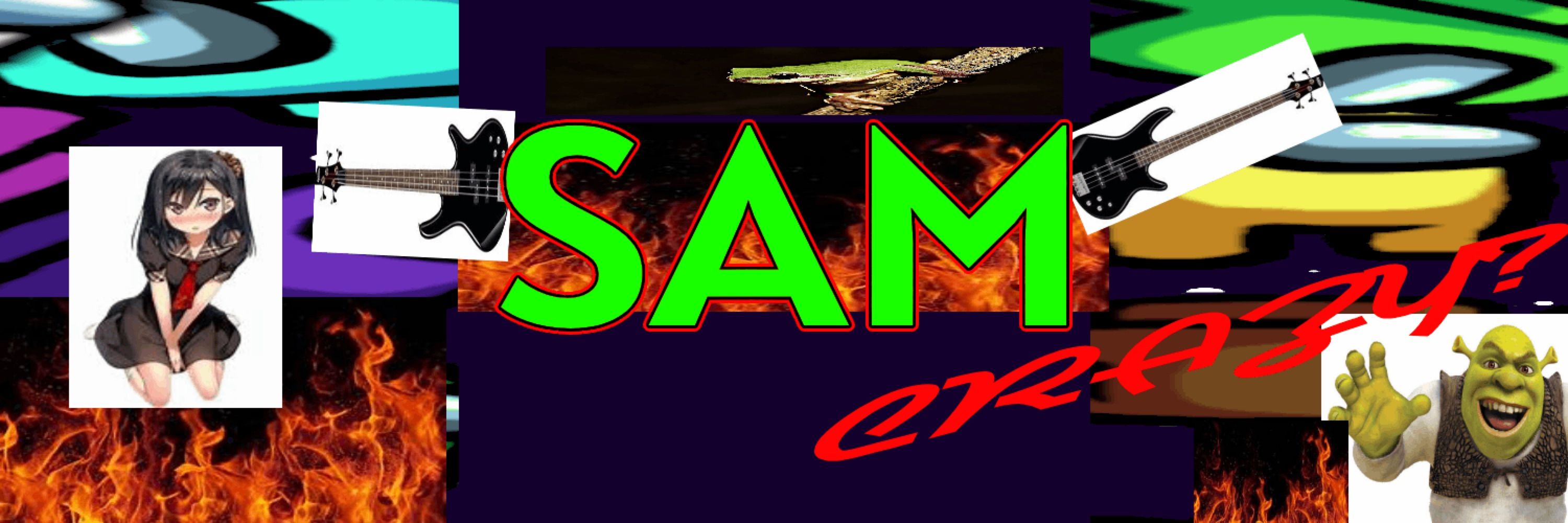Froggo_Sam | VCosys