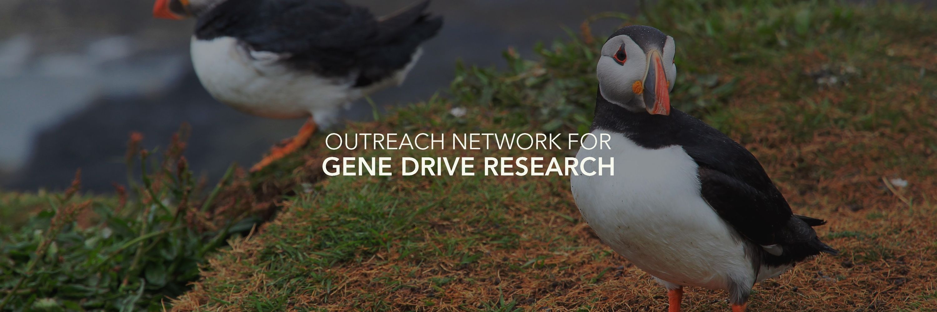 Outreach Network for Gene Drive Research