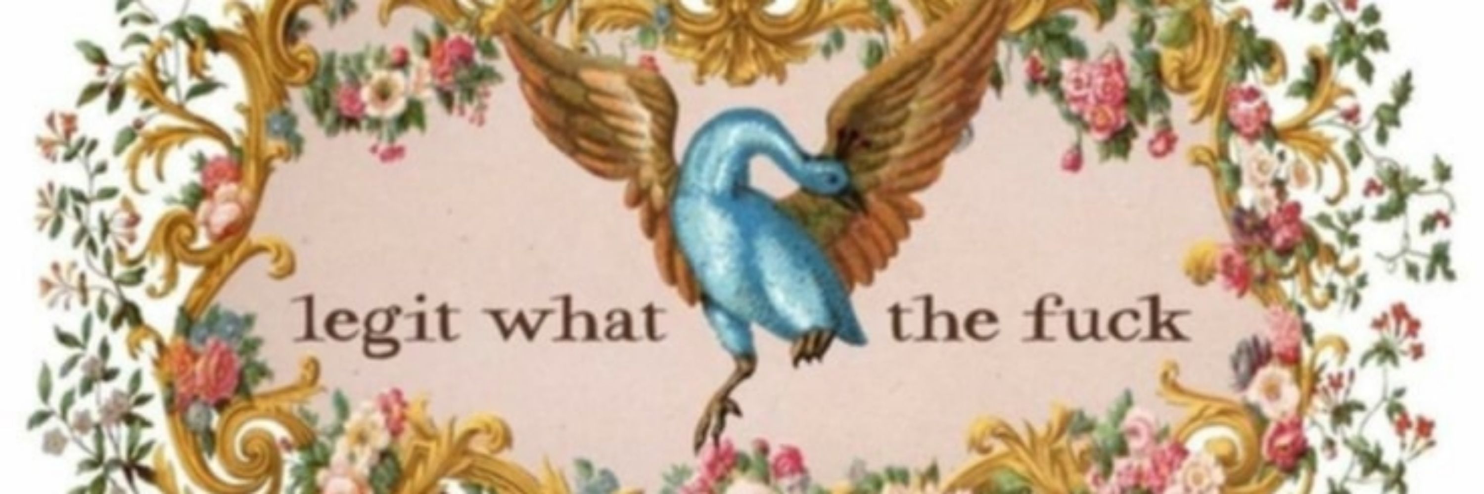 Wren Scheit