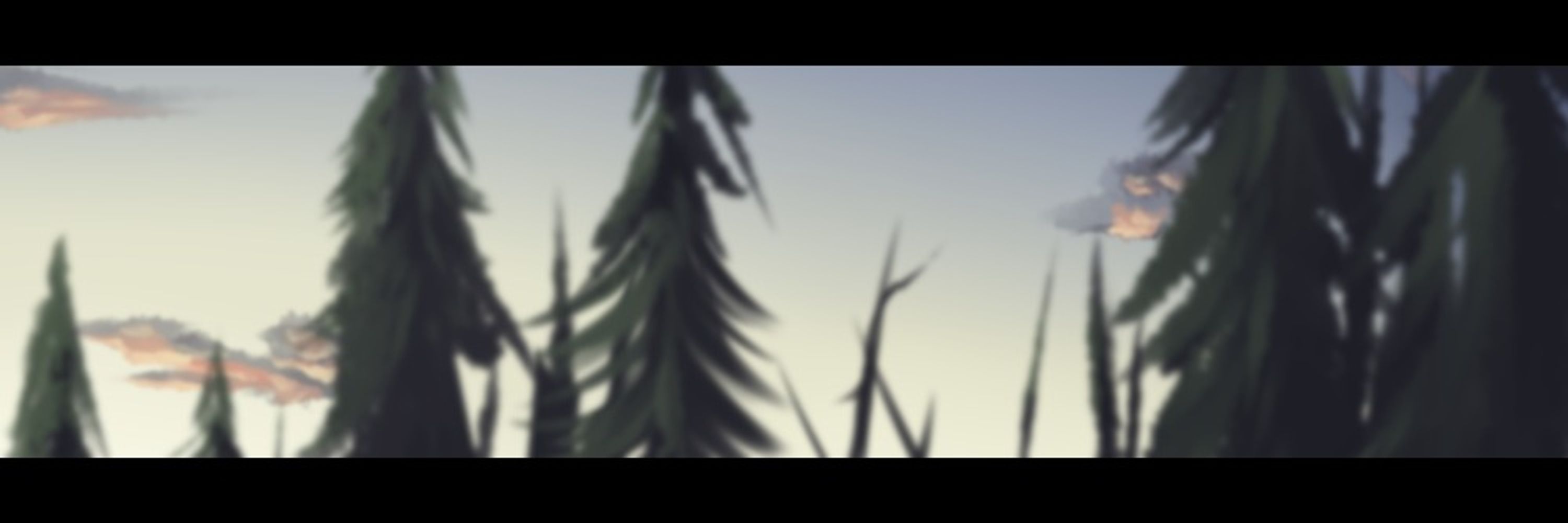 【Jaye】