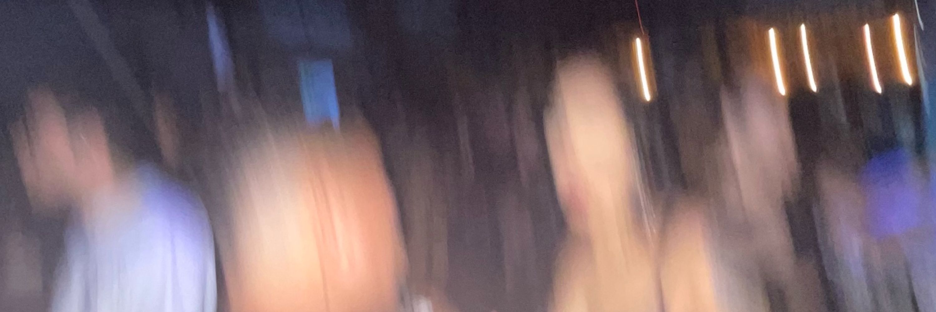 gatinha de ferias