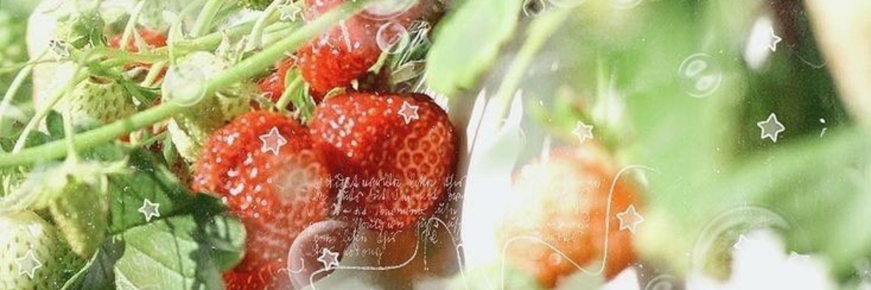 𝓝𝒊𝒄𝒐𝒍𝒆 ׂ. ˚ ✮