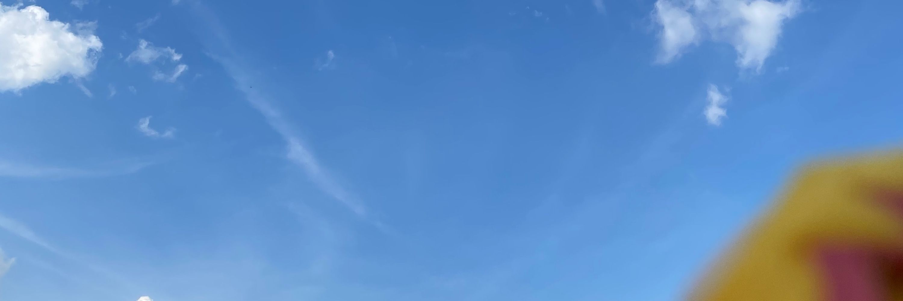 おもち