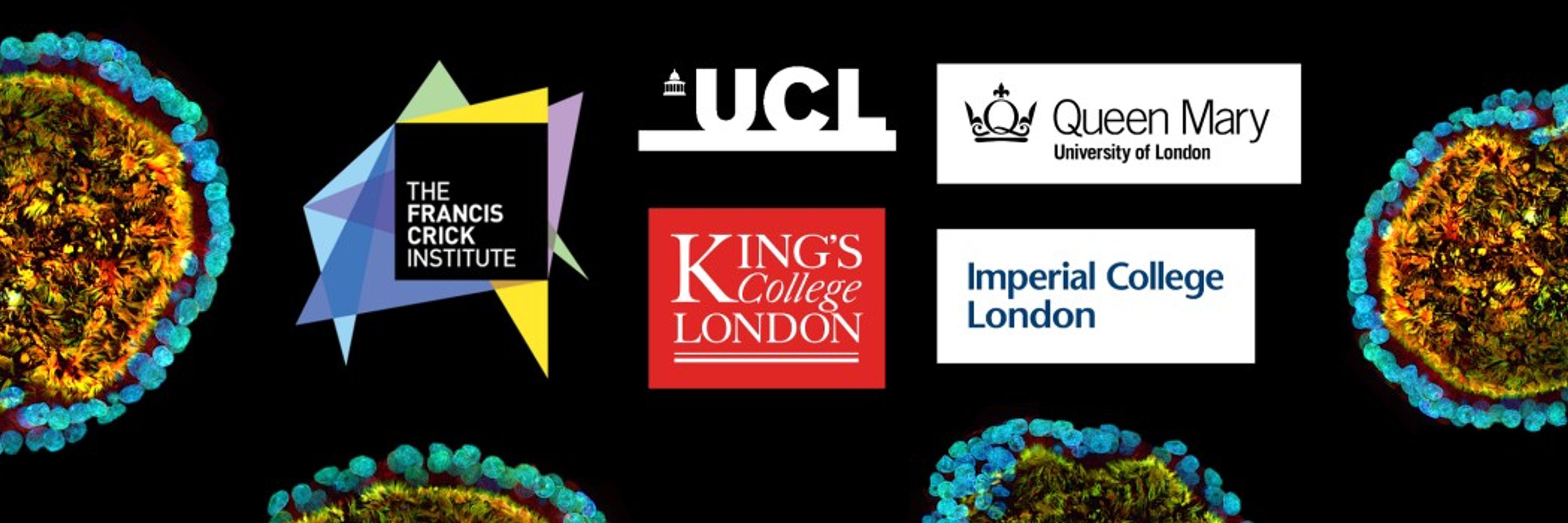 London Stem Cell Network 