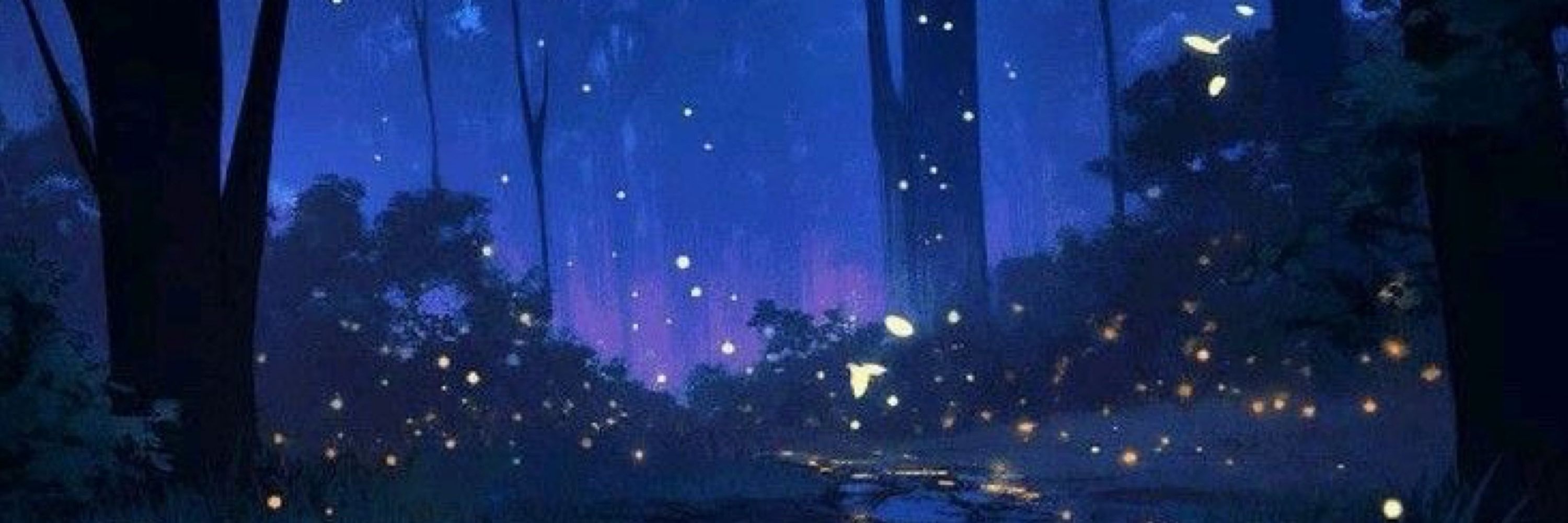 kasa