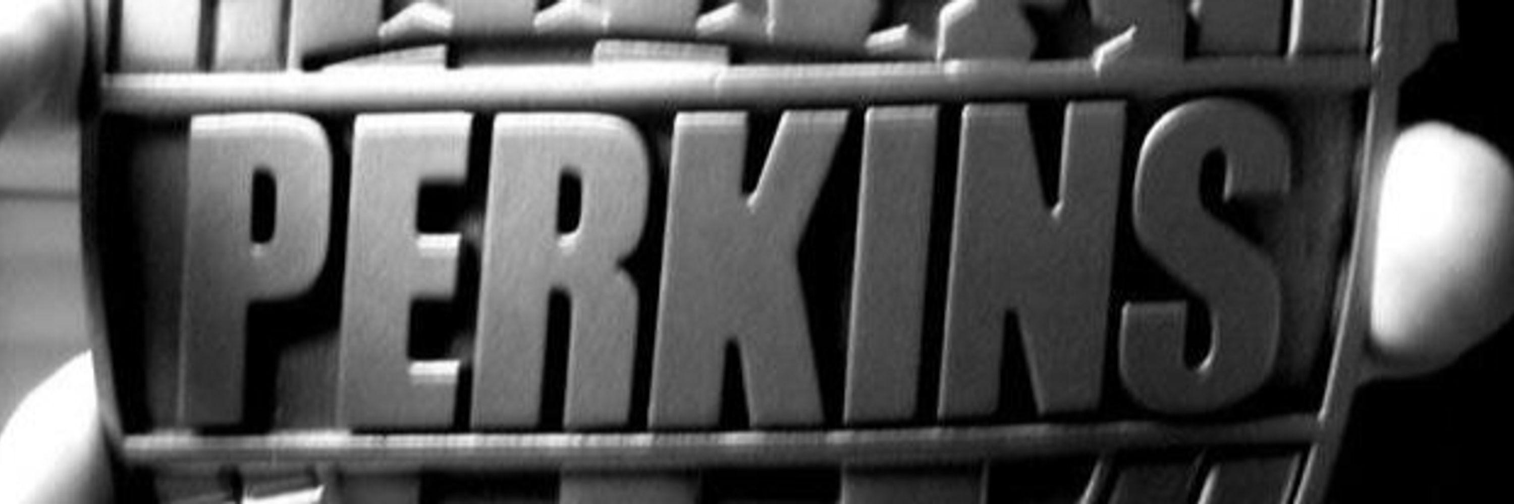 Mike Perkins