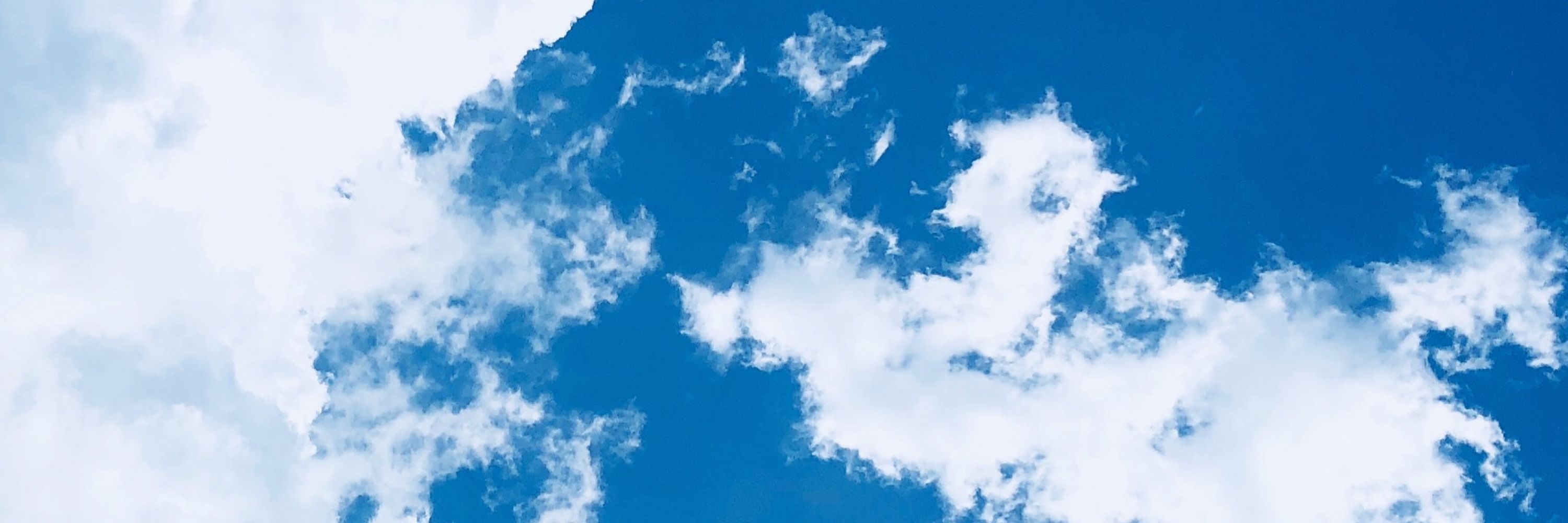 蒼空こおり