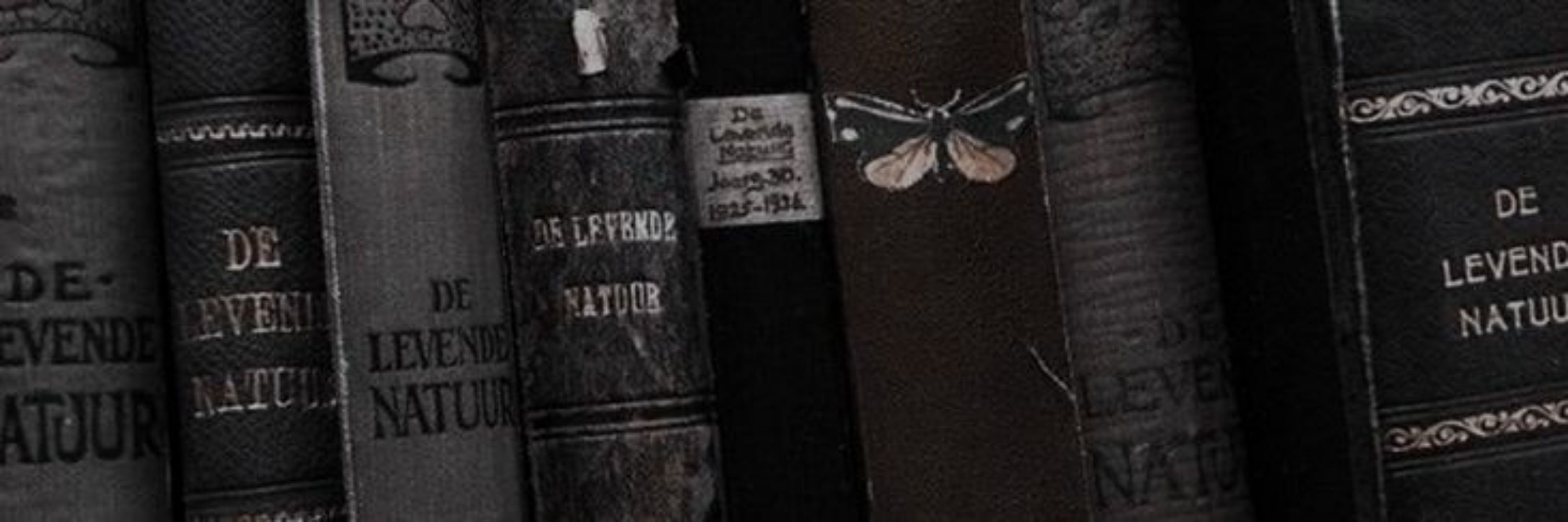 Sofi📚// já vi a taylor