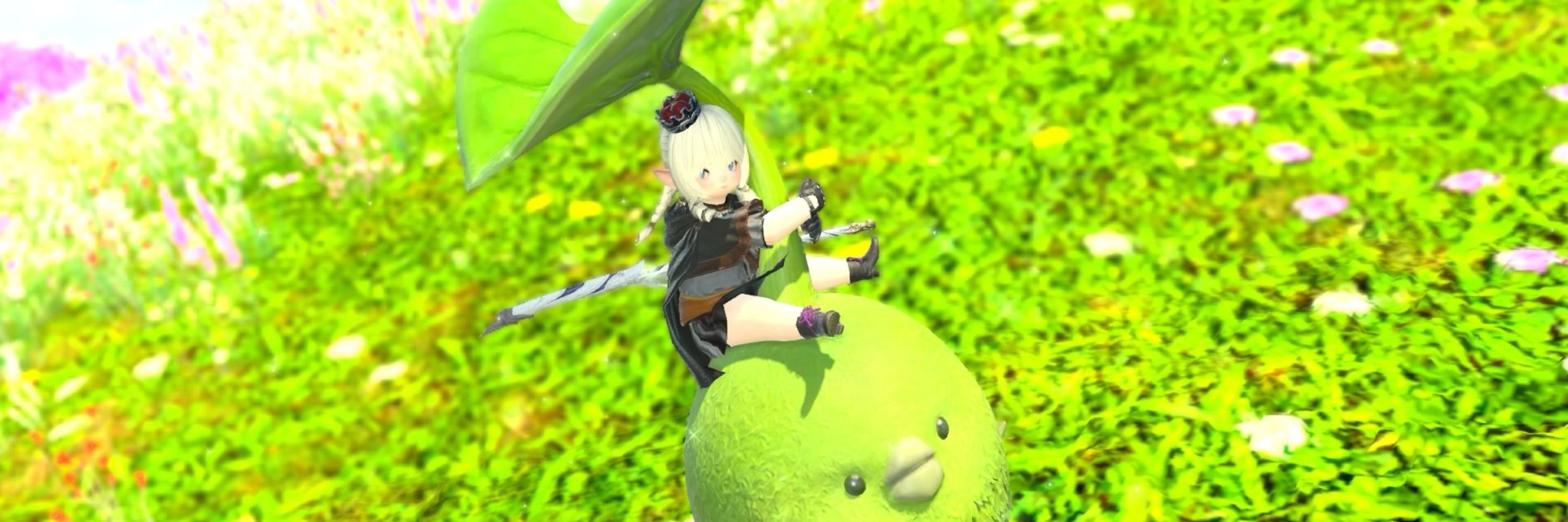 あめさん