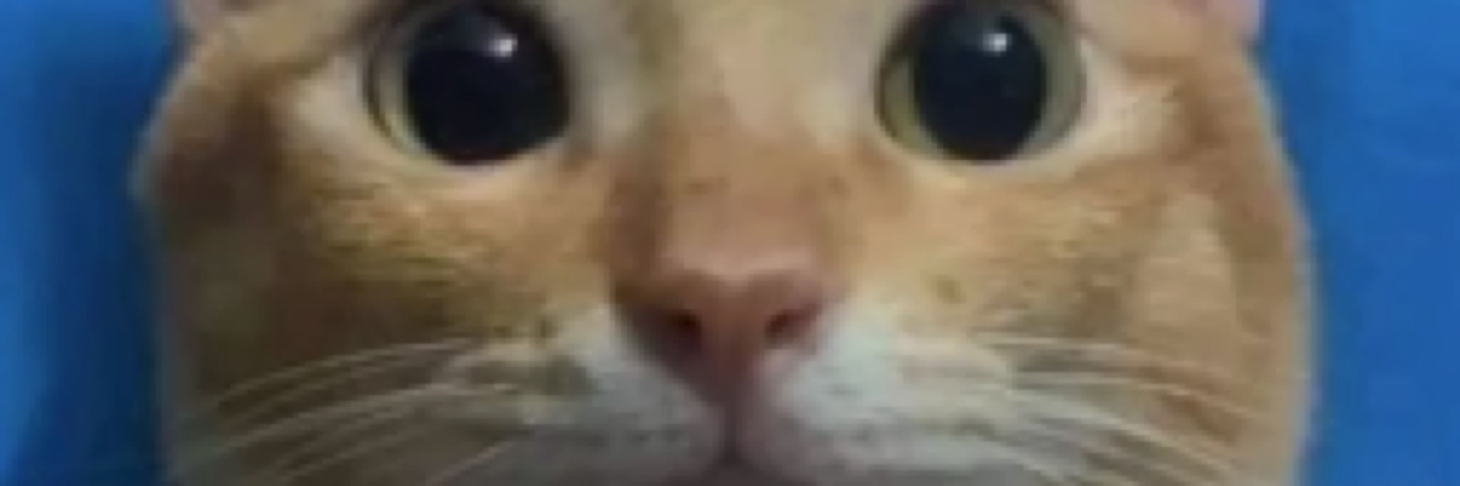 𝖢𝗒𝖻𝖾𝗋𝖪𝗂𝗇𝗄𝗌 🔞