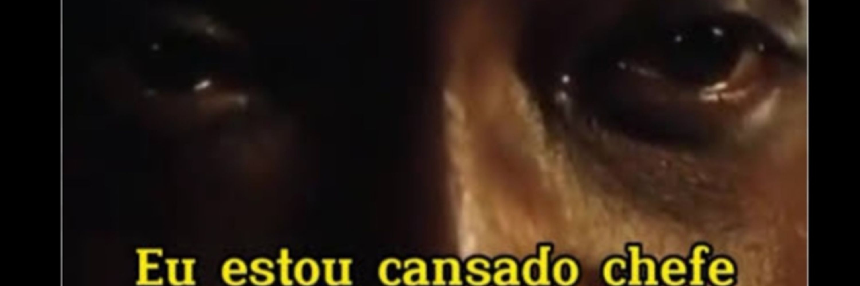 Alecrinzin Dourado 