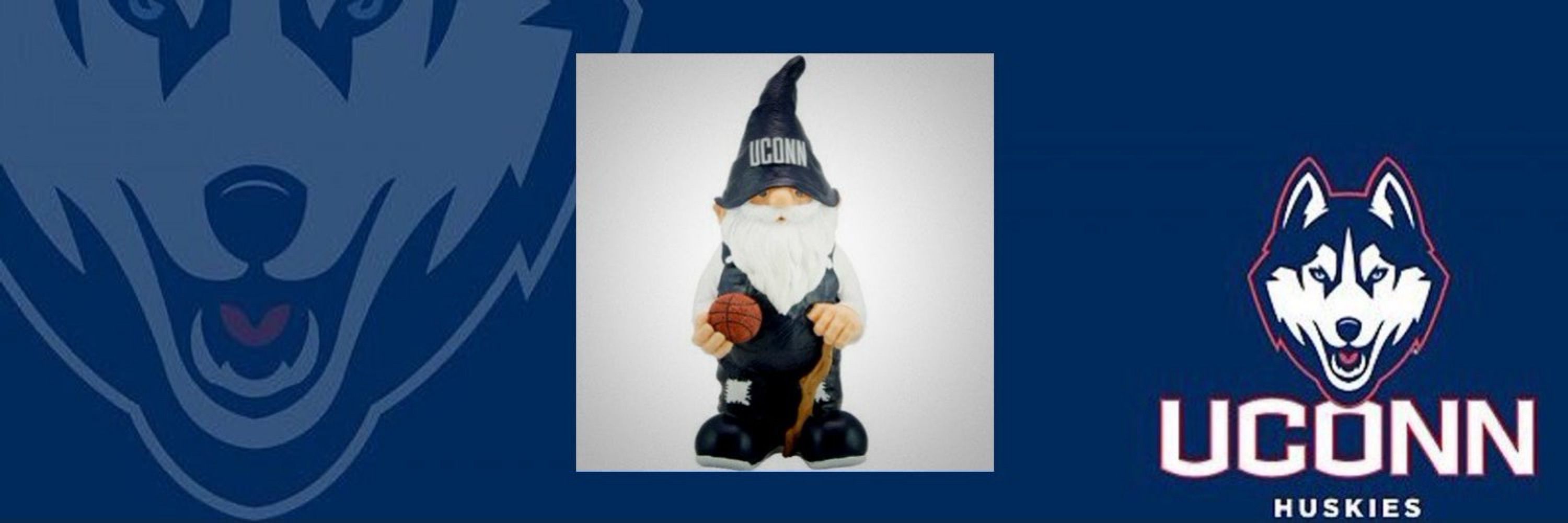 Sadish Gnomebino of UConn