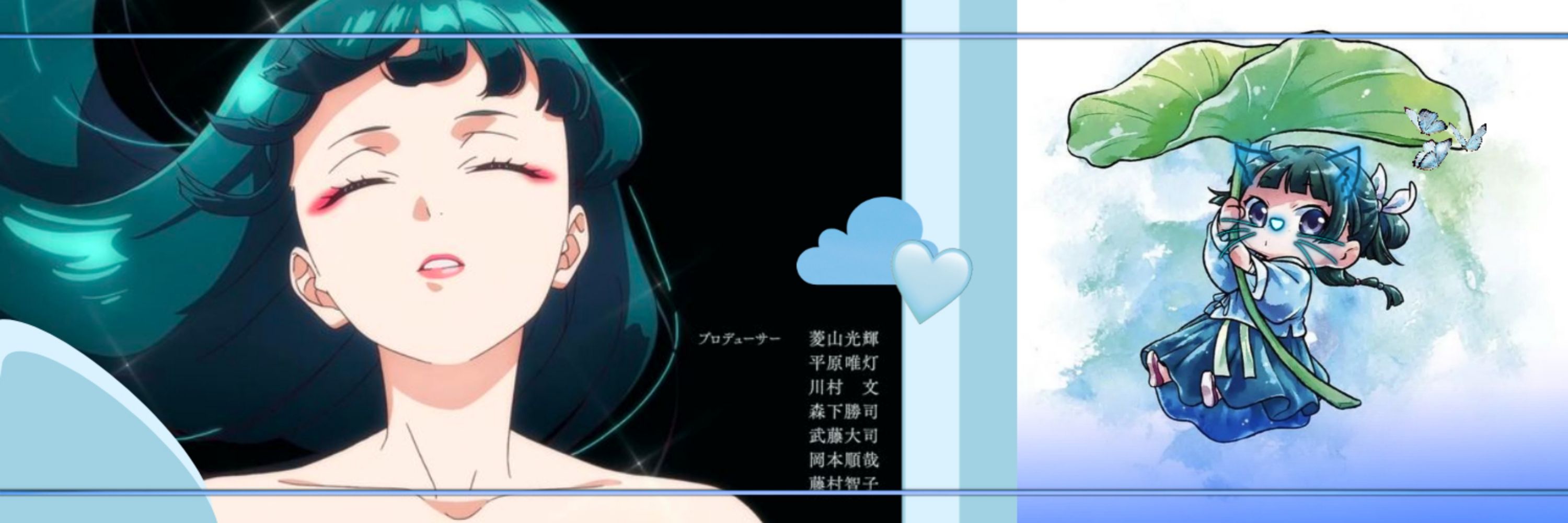 Profile banner