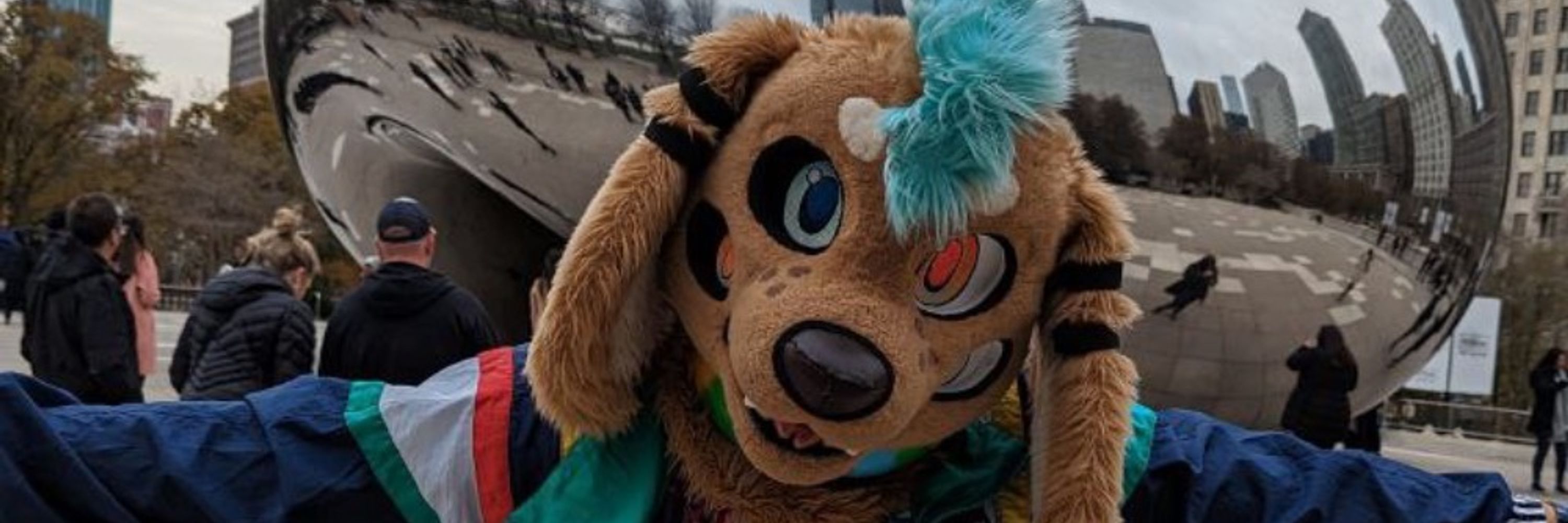 Adondis.dog