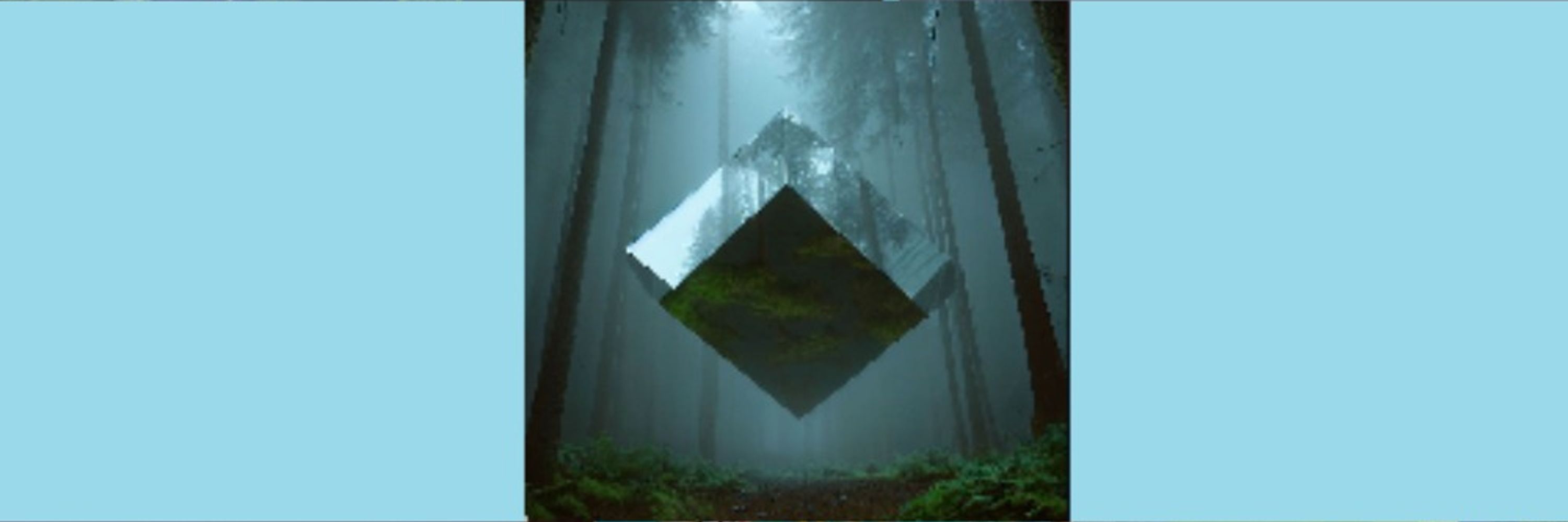 Wildeflit Dreams