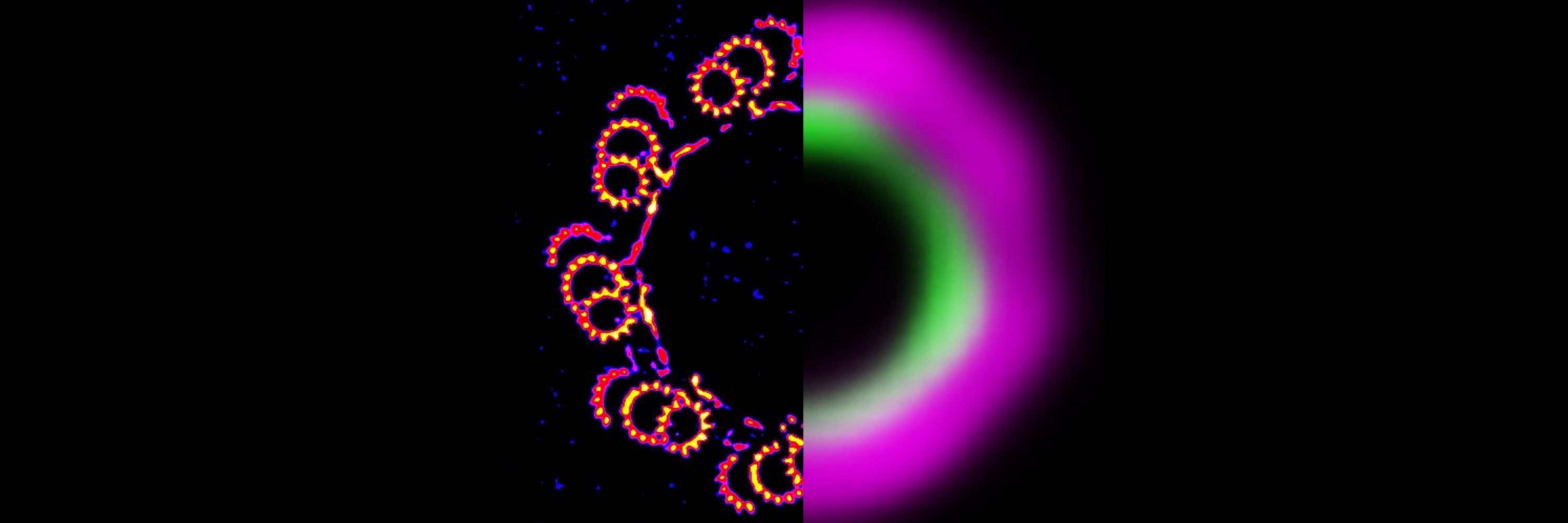 Paul & Virginie - Centriole Lab 