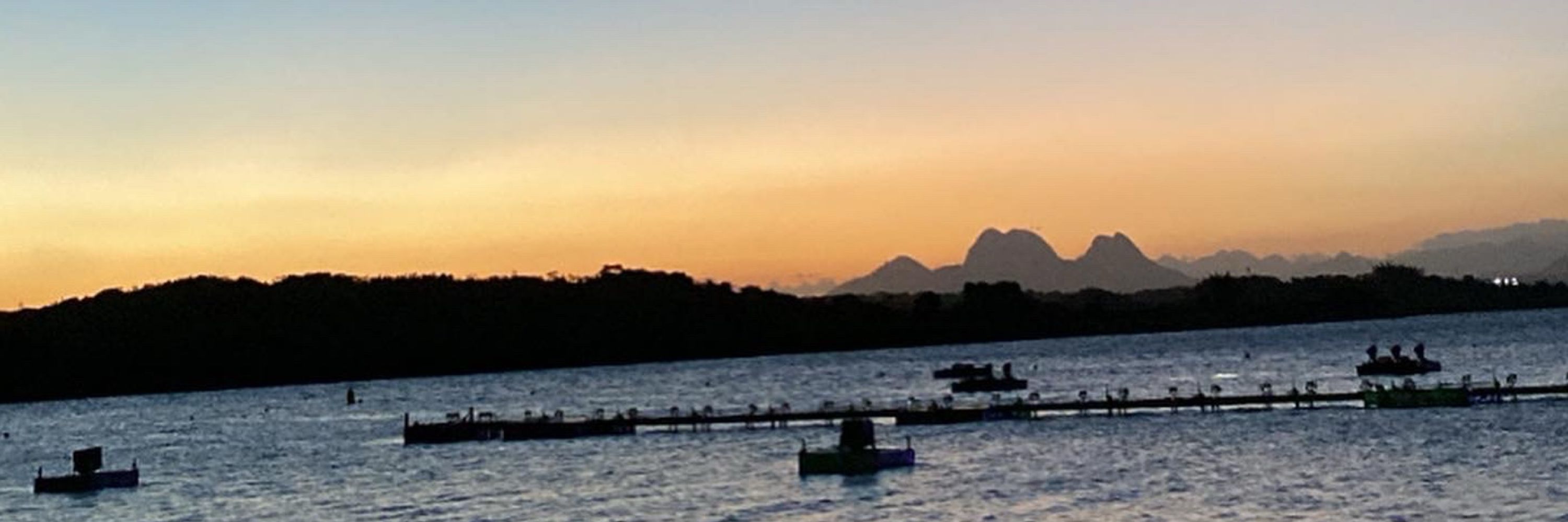 trindade
