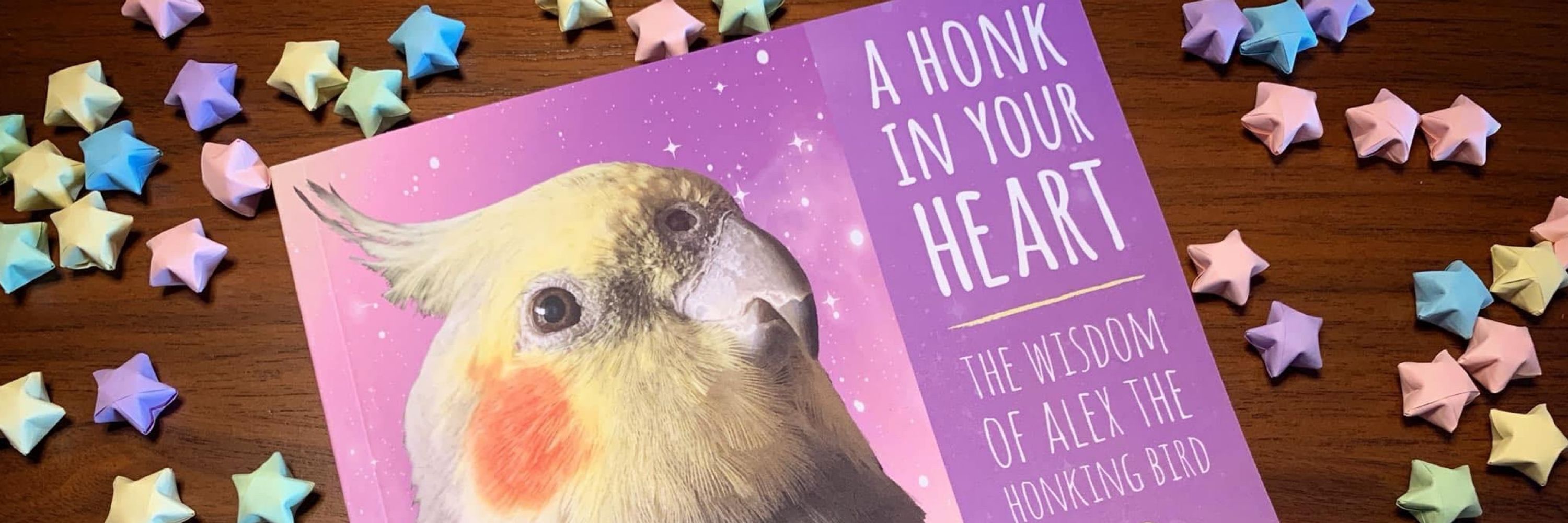 Dominic - Son of Alex the Honking Bird