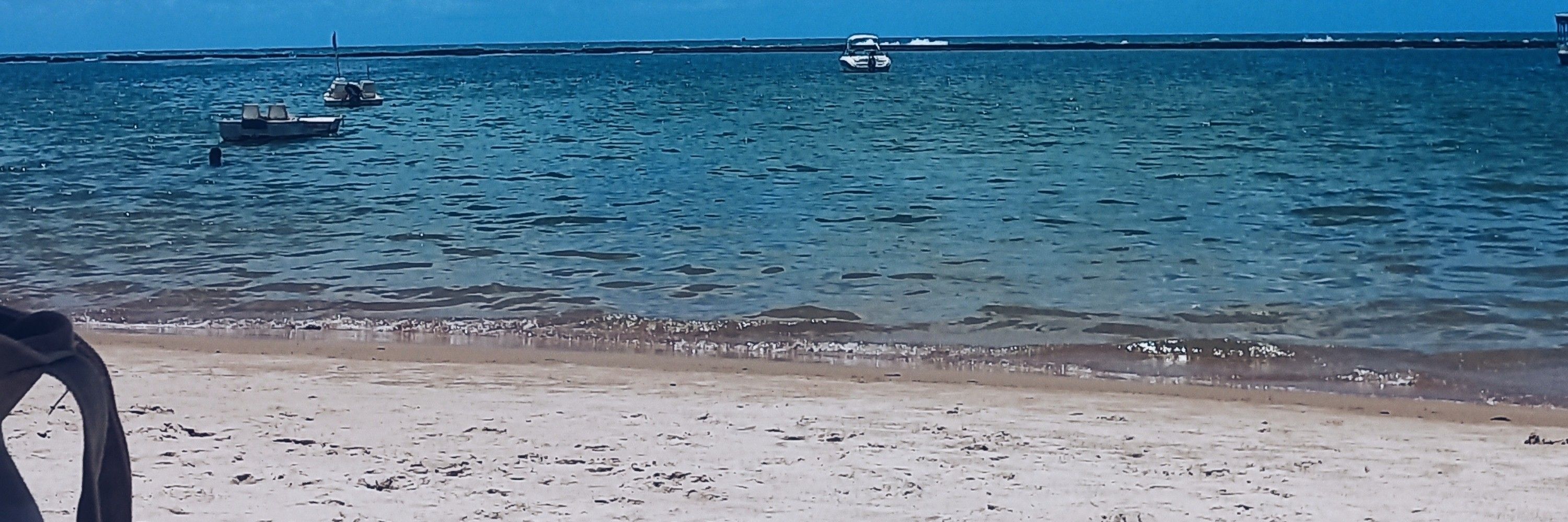 flavinha