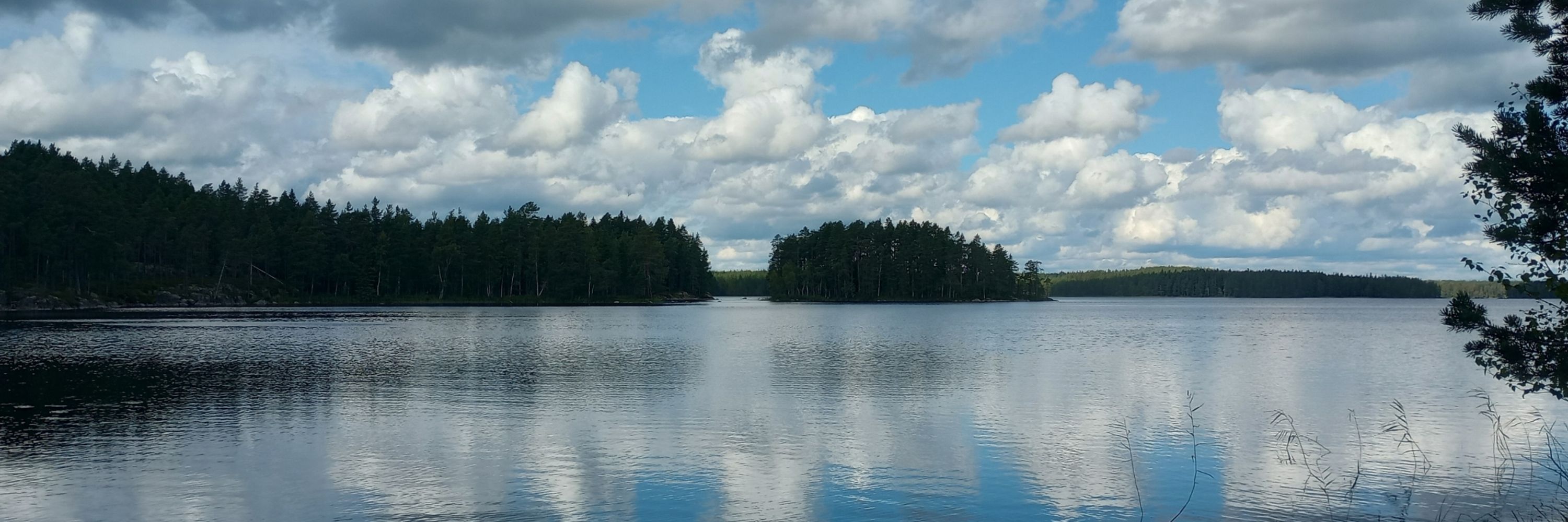 Sivusilmällä