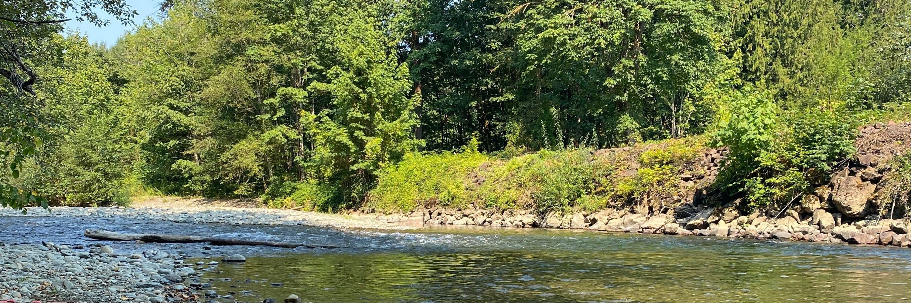 PNW_man