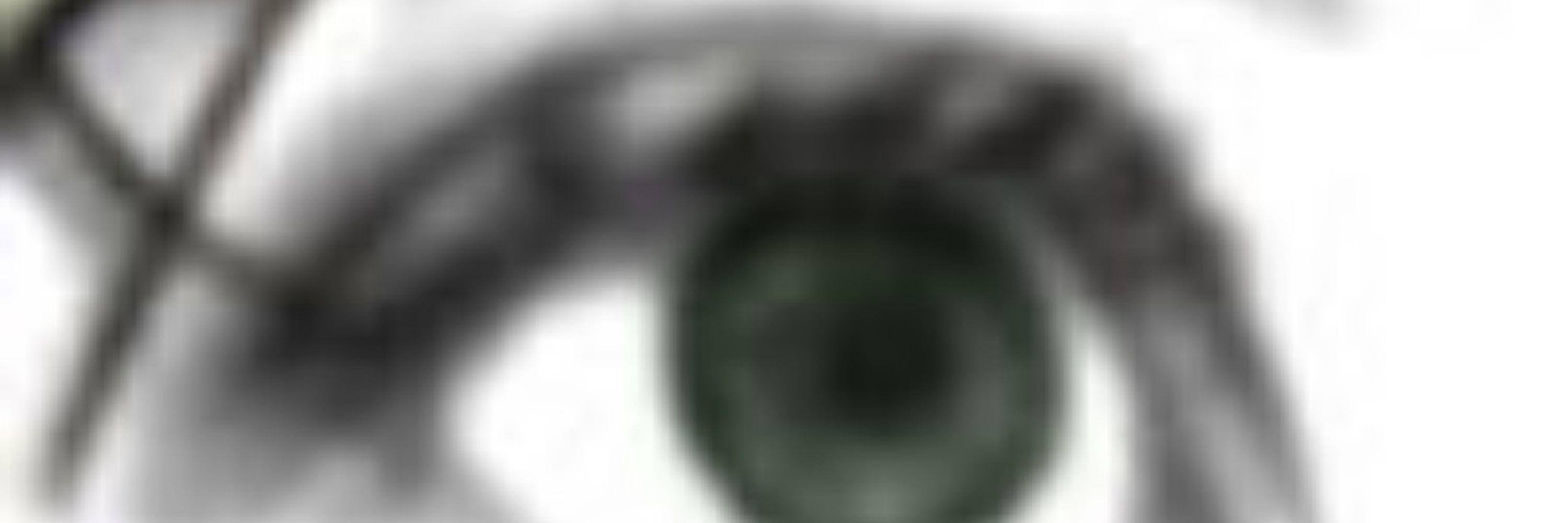 linbot