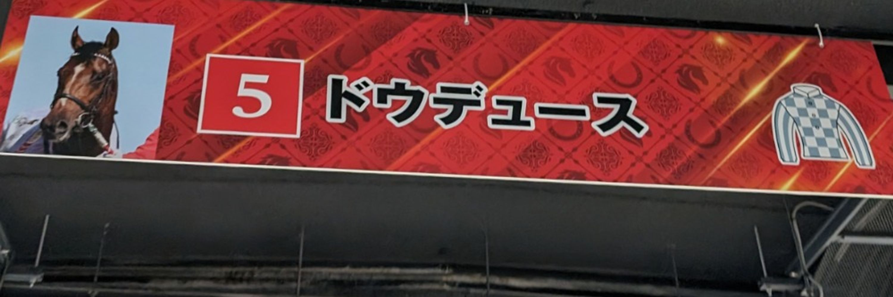 ピッポ