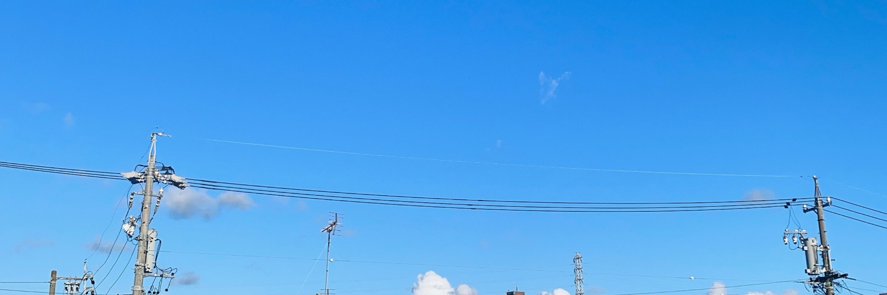 肋骨毛田武羅
