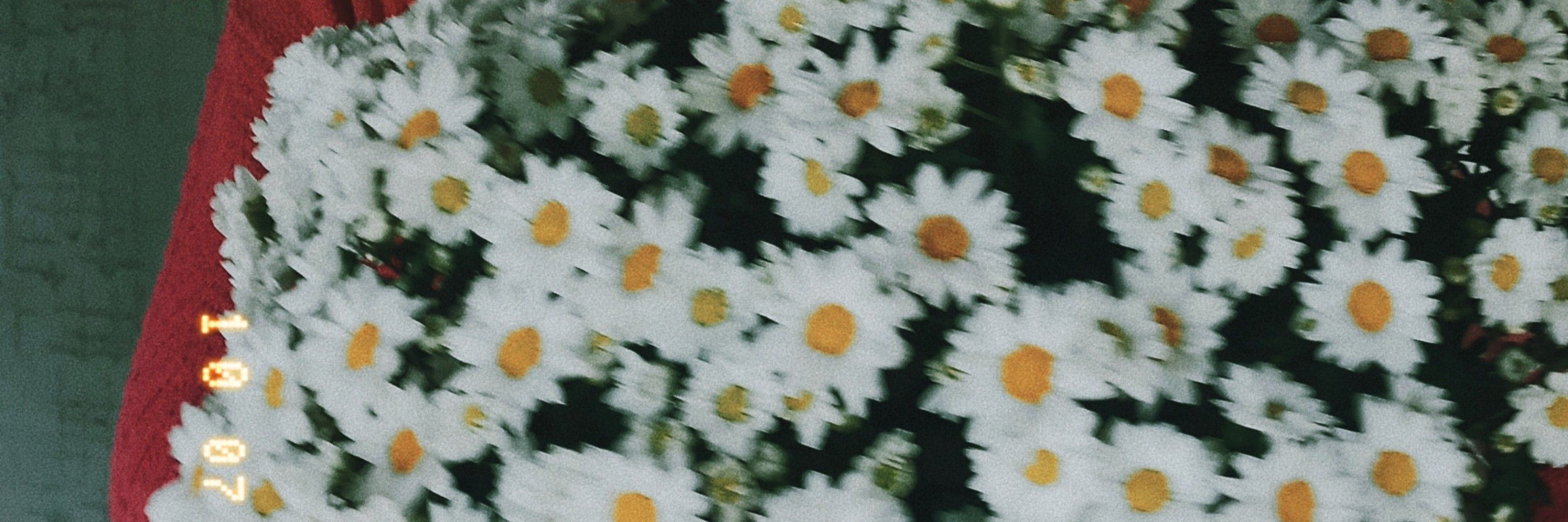 ali☆