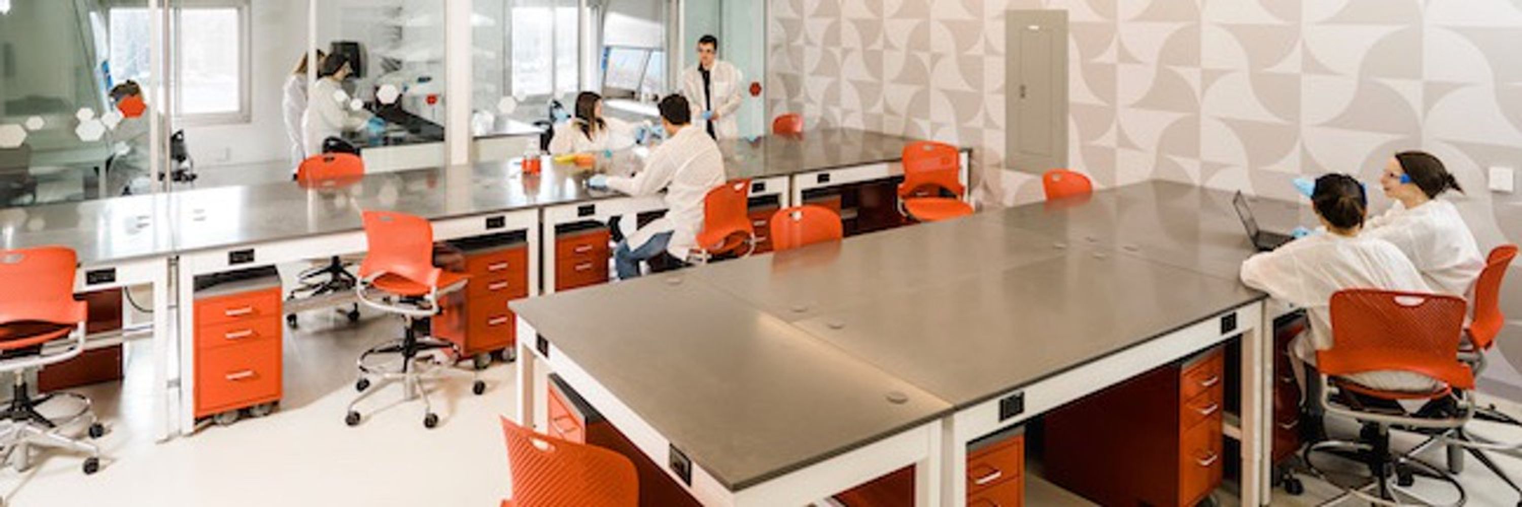 Boston University Biomedical Engineering