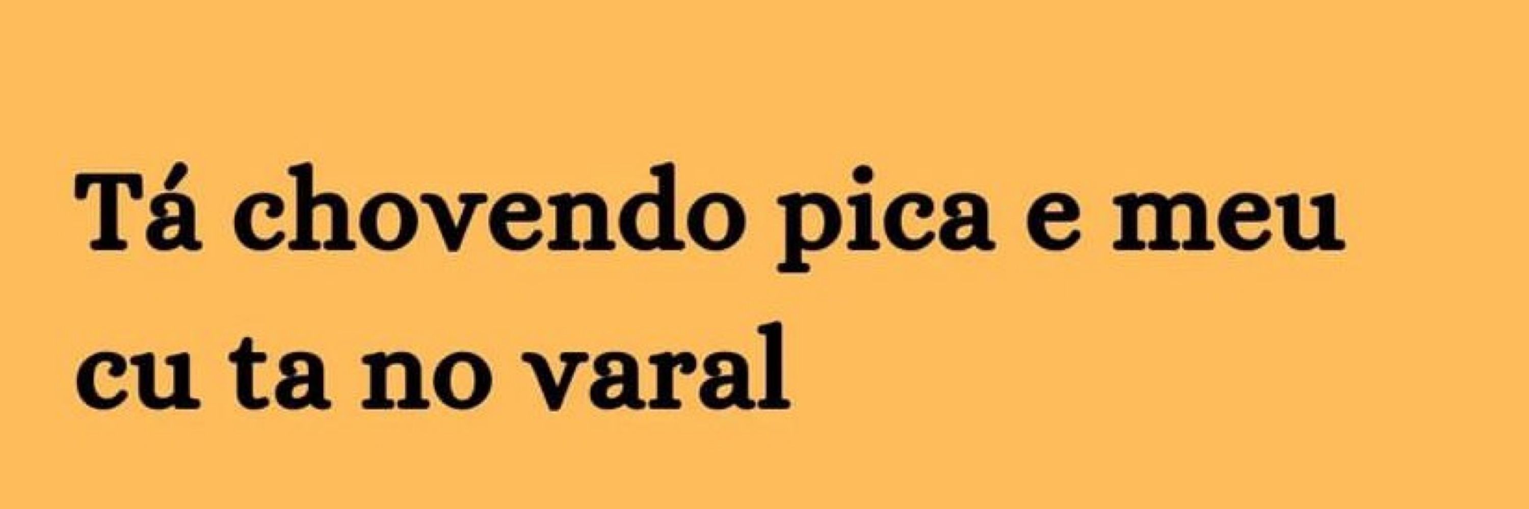 Lambisgoia sorumbática 
