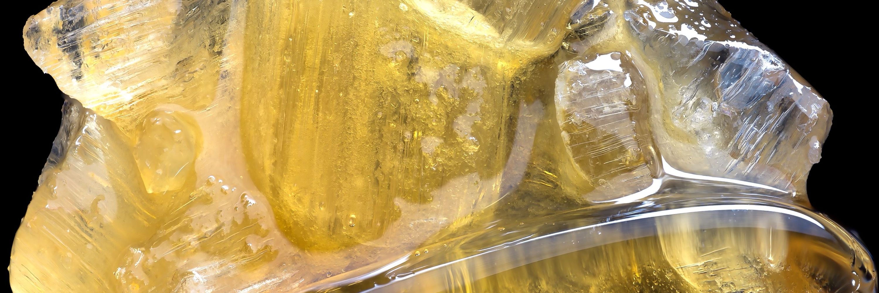Rosin Evolution