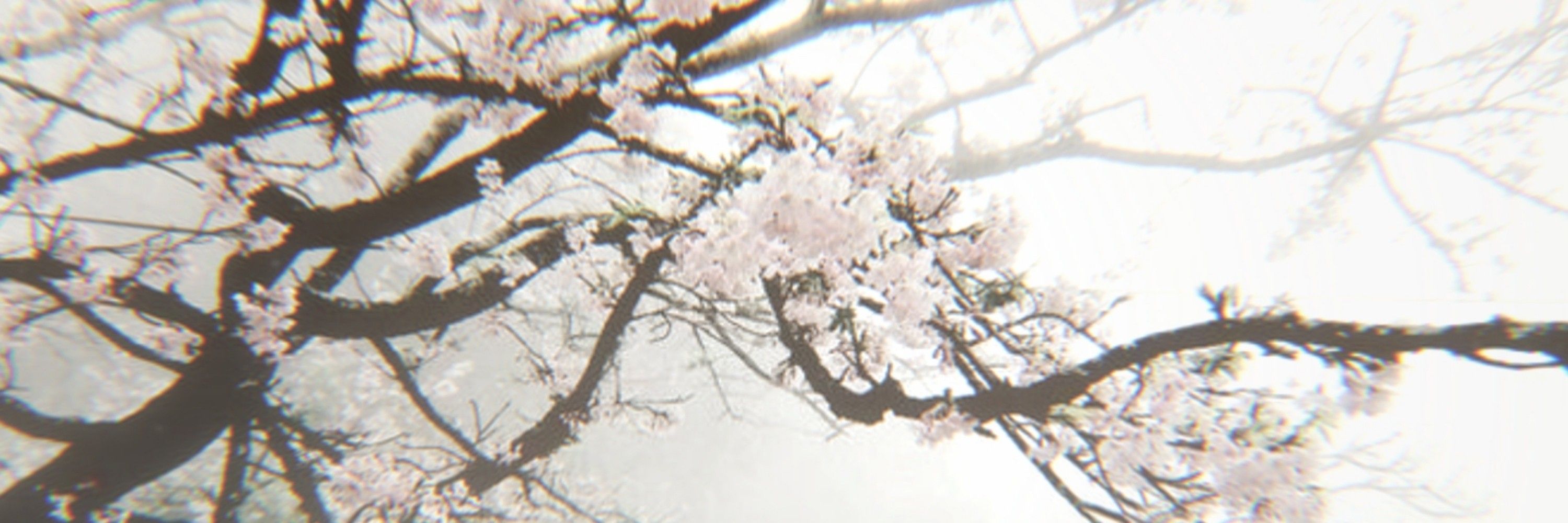 Fr3lin ft.時行様
