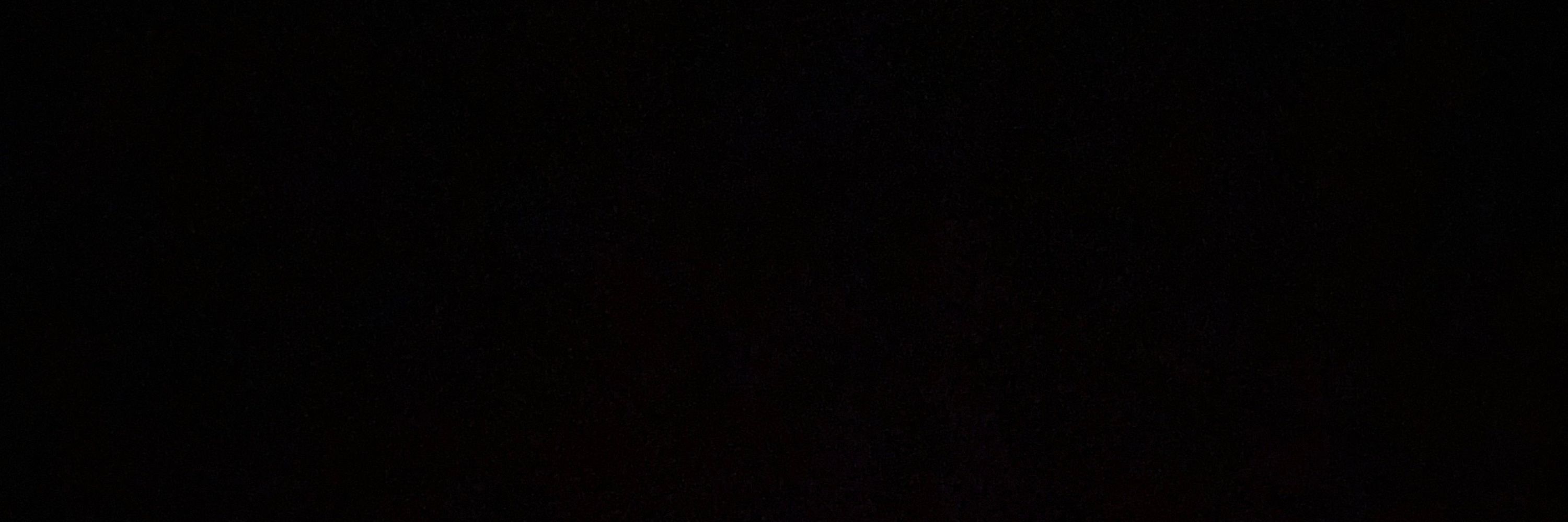 🐈‍⬛