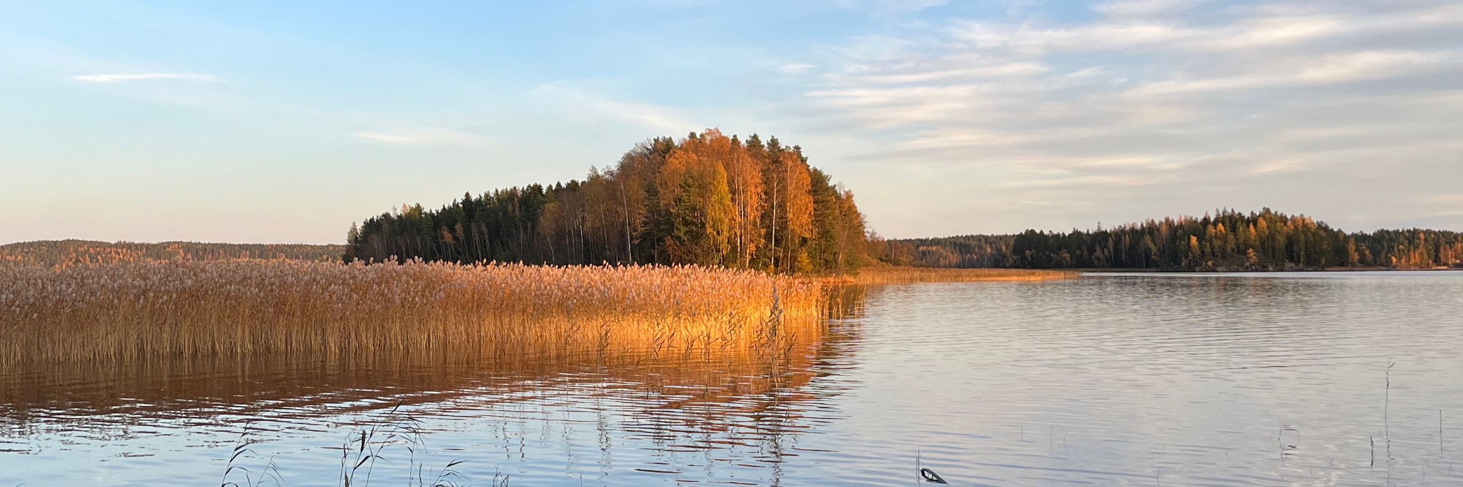 Outi Ihanainen-Rokio