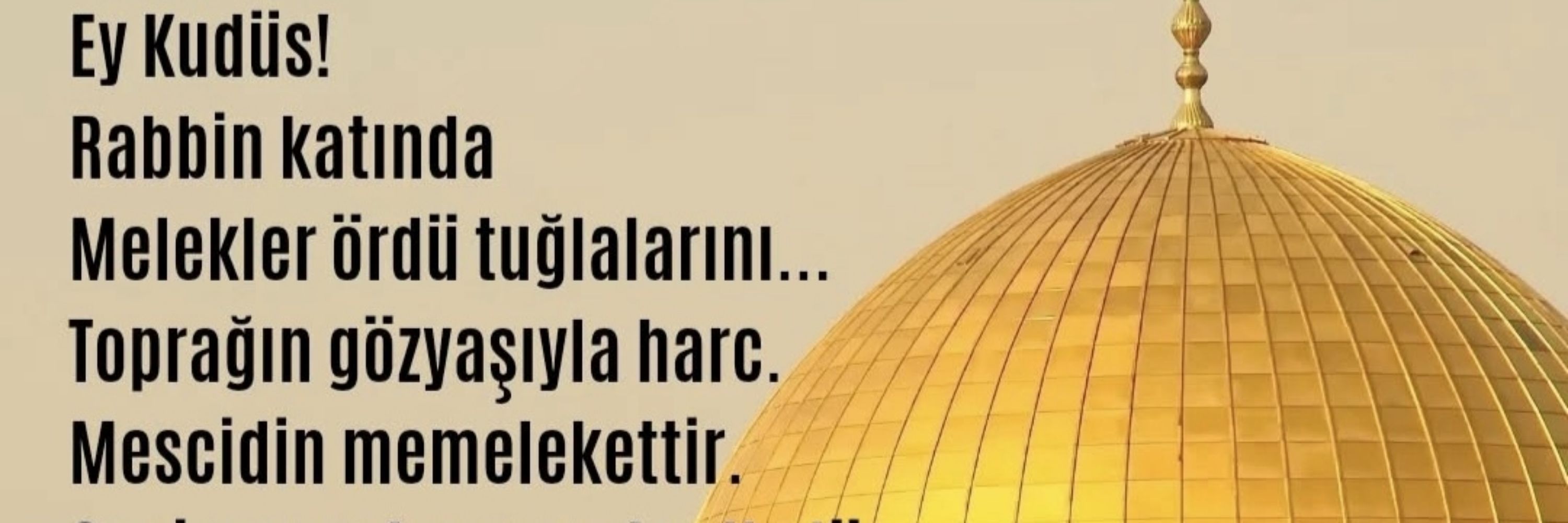 ahu_ zarr  51